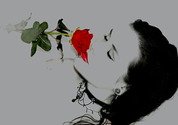 Rose, girl, 3d, red HD wallpaper