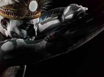 Wild, snake, black, man, juan carlos osorio, reptile, indian HD wallpaper