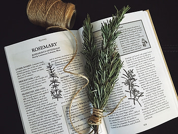 Herbs 101, Uses and benefits, The uses, Rosemary HD wallpaper