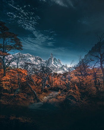 Landscape, Nature, Trees, Sky, Mountains, Path, Trail HD phone wallpaper