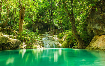 Green Forest, Lake, Nature, Forest, Trees HD wallpaper