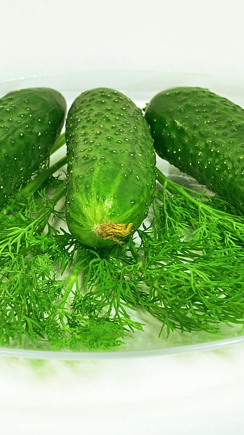 Fresh cucumbers, Delicious salad, Vibrant colors, Nutritious meal HD phone wallpaper
