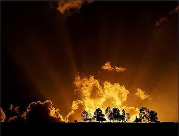 Horizon sunset, golden, rays, horizon, clouds, trees, sunset HD wallpaper