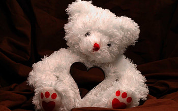 amazing teddy bear New collection Taddy Bear ) HD wallpaper