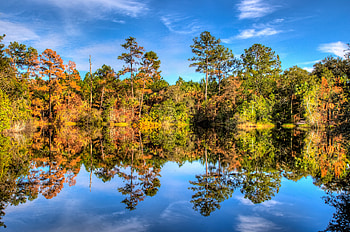 Nature, Trees, Sky, Lake, Reflection, Forest HD wallpaper