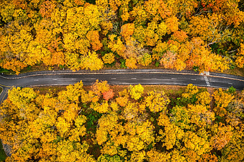 Nature, Autumn, View From Above, Road, Forest HD wallpaper