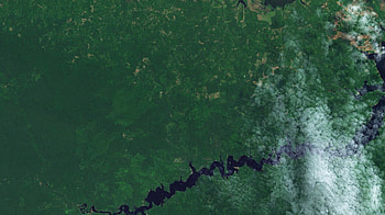 Amazon, aerial, river, clouds, jungle, forest, map HD wallpaper