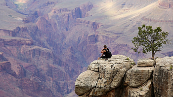 man sitting on the edge of a canyon, cliffs, canyon, man, rocks, tree HD wallpaper