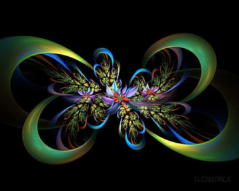 fractal art, flowering, curls, ribbions, pretty HD wallpaper