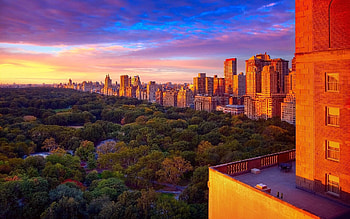 Park (Nature), Central park HD wallpaper