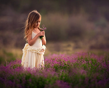 Field of Dreams, sweet, bouquet, girl, little lady, field, field of flowers, sweetness, nature, flowers HD wallpaper