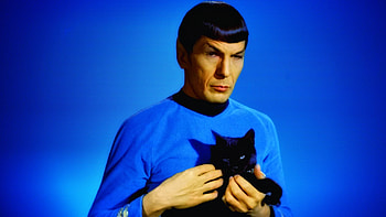 Spock, Top , Trekkie background, Iconic character HD wallpaper