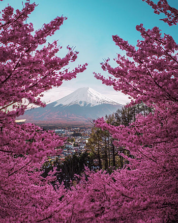 Mount Fuji, Travels HD phone wallpaper