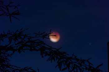 Moon Set , moon, nature, evening HD wallpaper