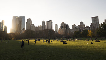 Central Park, hintergrundbilder, Bilderfotos kostenlos HD wallpaper