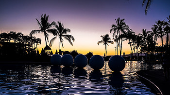 Palm Trees Balls On Swimming Pool Ocean Silhouette Dark Background Dark Background HD wallpaper