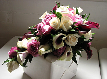 Flowers, Roses, Registration, Typography, Bouquet, Calla, Callas, Stand HD wallpaper