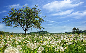 Landscape, Nature HD wallpaper