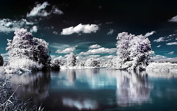 Landscape, Rivers, Trees HD wallpaper