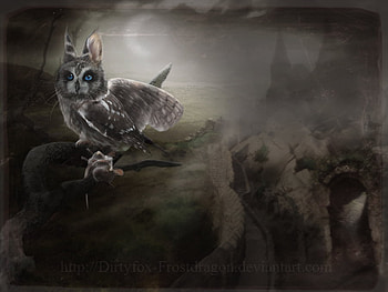 fantasy_owl, bird, moon, fantasy, eyes, owl, dark HD wallpaper