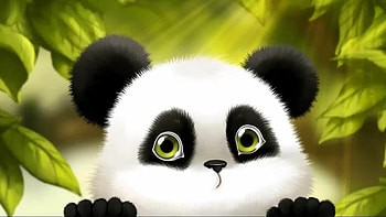 pandas, High-quality , Stunning backgrounds, Visual delight HD wallpaper