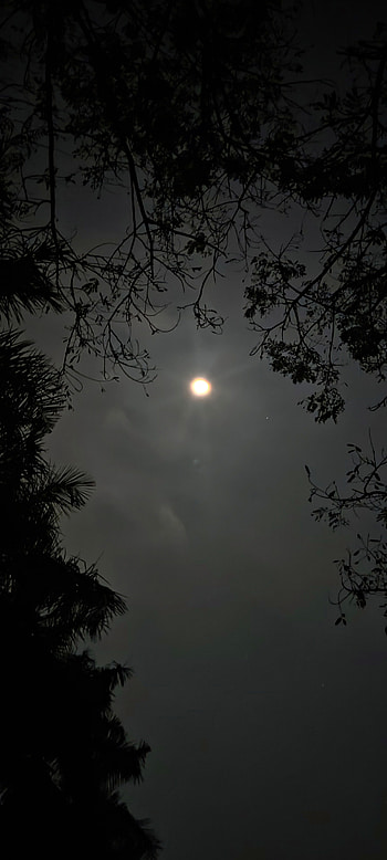 Night, atmosphere, , sky, moon HD phone wallpaper
