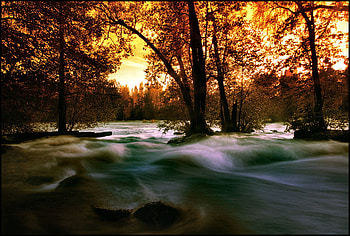 Autumn Memories, river, abstract, autumn, sun, memories HD wallpaper
