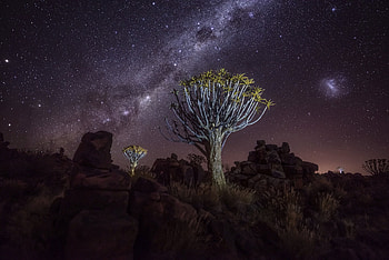 Starlit Serenity: Nighttime Nature, nature, night HD wallpaper