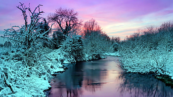 fantastic colors of bushes and sky above a river, river, bushes, trees, colors, sky HD wallpaper