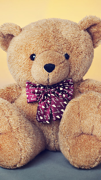 Beautiful Teddy Bear, Lovable Toy HD phone wallpaper