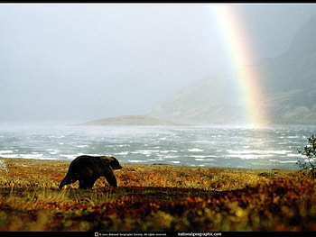 Beach Life , rainbow, fantstic HD wallpaper