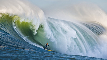 Surf, surfing, other, nature, people, ocean HD wallpaper