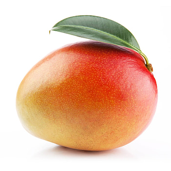 Tropical mango, Sweet and juicy, Exotic fruit, Delicious flavor HD phone wallpaper