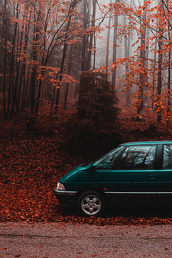Autumn, Cars, Forest, Car, Van HD phone wallpaper