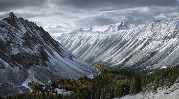 Frozen Wonderland Trees Adorned In Snowy Garb, winter, mountains, nature HD wallpaper