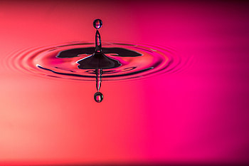 Pink, Macro, Circles, Spray, Drop HD wallpaper