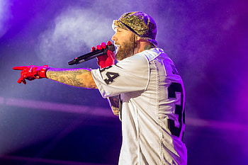 Limp Bizkit, Rebel Rock festival, Headline act, Exciting lineup addition HD wallpaper