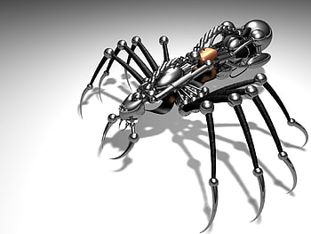 3D bug, 3d object HD wallpaper
