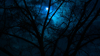 moon, other, , anime, dark HD wallpaper