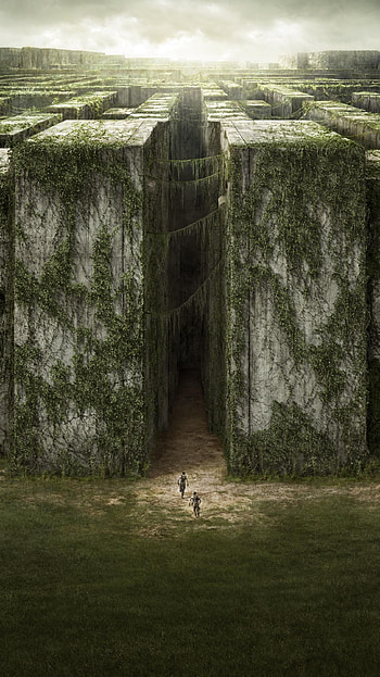 The Maze Runner, 2014 movie , Moviemania collection, Maze Runner series HD phone wallpaper