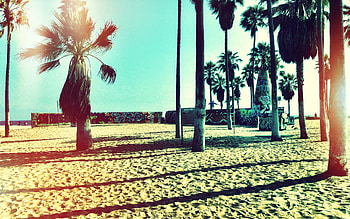 Venice Beach Hipster Backgrounds. HD wallpaper