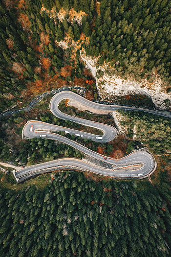 Nature, Trees, Road, Forest, Winding, Sinuous, Romania HD phone wallpaper