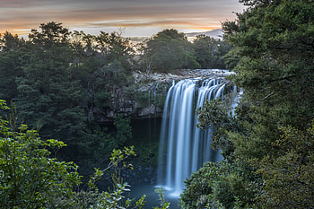 Rainbow Falls on the Kerikeri River, NZ, new zealand, waterfall, nature, forest, forests HD wallpaper