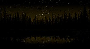 Art, Stars, Dark, Forest HD wallpaper