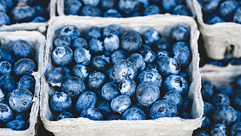 Blue food delights, Fruity goodness, Vibrant and refreshing, Delicious treats HD wallpaper