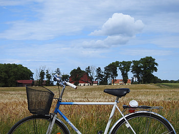 Short travel guide, Northern paradise, Oland island, Swedish gem HD wallpaper