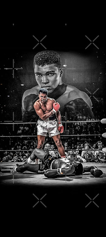 Muhammad ali, sports_equipment, striking_combat_sports HD phone wallpaper