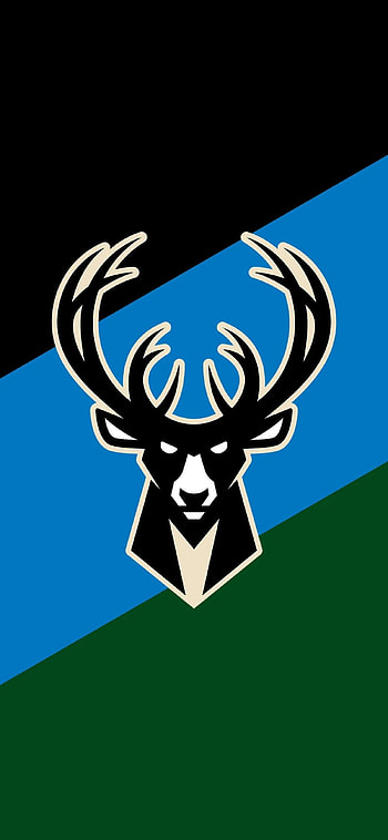 Milwaukee Bucks, Nike, USA, Antetokounmpo, Kobe, America, LeBron, Giannis, Jordan, NBA, Wisconsin HD phone wallpaper