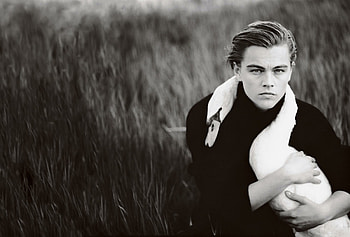 Leonardo DiCaprio, Computer , Handsome collection, Iconic HD wallpaper