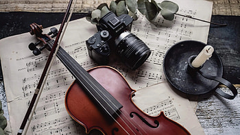 Viola music, Capturing the details, focus, Musical artistry HD wallpaper